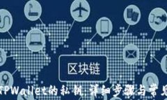 如何查看TPWallet的私钥：详细步骤与常见问题解答