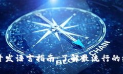 区块链开发语言指南：了解最流行的编程语言